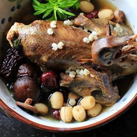 Chim câu hầm thảo dược