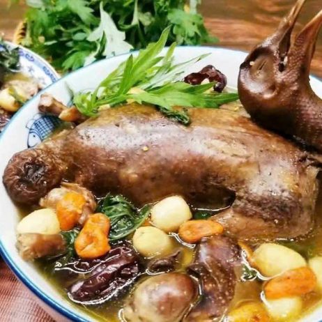 Chim câu hầm thảo dược