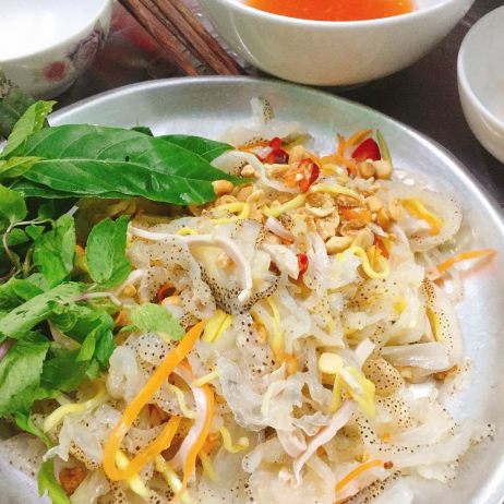 Nộm sứa